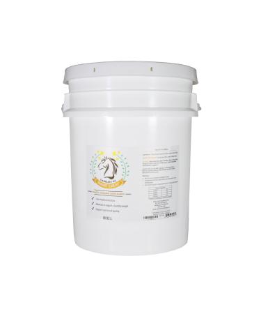 Smart Earth Camelina Oil for Horses - Natural Nutritional Supplement for Coat Hooves and Joints - Horse Oil - Omega 3 6 & 9 - Equine Care - Camelina Oil for Joint Health (18.9L)