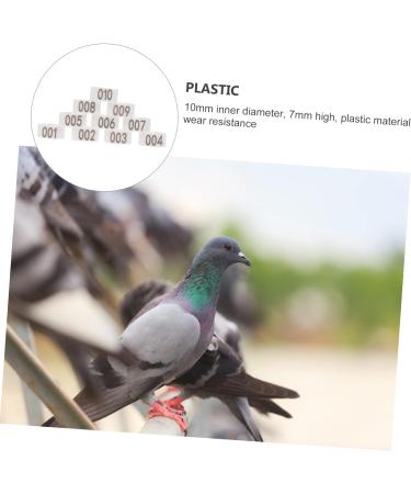 VANZACK 200 Pcs Pigeon Anklet Chicken Drumsticks Chicken Tags for Legs Birds Supplies Parrot Foot Clamp 1.3X1.3CMx2pcs Whitex2pcs - Buy Online on GoSupps.com