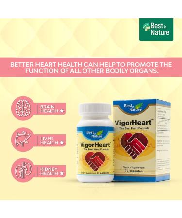 VigorHeart Natural Heart Supplement Pills with CoQ10 Salvia Miltiorrhiza & Panax Pseudoginseng - 30 Capsules for Optimal Heart Health - Buy Online on GoSupps.com