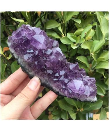Natural Dream Amethyst Quartz Crystal Cluster Specimen - Buy Online on GoSupps.com