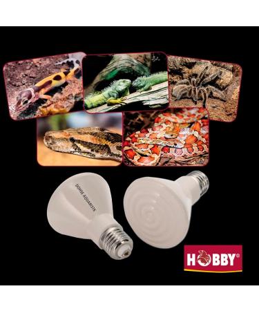 Hobby 37085 Elstein Heater IOT - 75/100W White | International Shipping Available - Buy Online on GoSupps.com