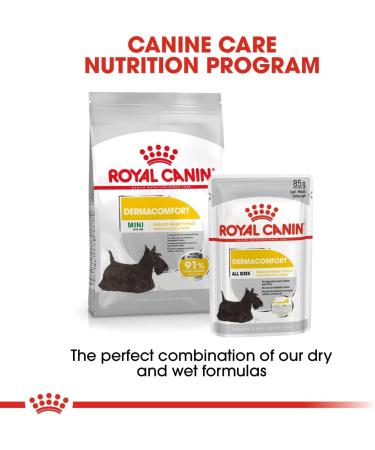 Royal Canin Dermacomfort Mini | 1 kg | Complete Food for Small Adult Dogs up to 10 kg | To Support Normal Skin Health | With Omega 3 and 6 Fatty Acids - Buy Online on GoSupps.com