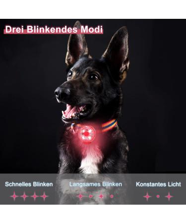Fttouuy USB Rechargeable LED Flashing Light for Dogs & Cats - Waterproof Security Light for Pets - 3 Fashionable Flashes in Red - Perfect for Safety and Visibility - Buy Online on GoSupps.com