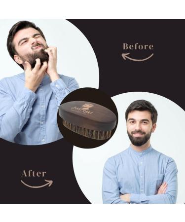 Bartzart Shabo Bartbrush Set | High-Quality Beard Oil Cedar Wood Natural Beard Balm & Wild Boar Bristle Brush | Premium Beard Care Essentials - Buy Online on GoSupps.com