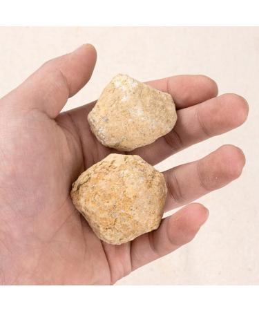 Unopened Natural Agate Geode Raw Crystal Crystals Stone Cluster Cave Collection Specimen - Buy Online on GoSupps.com