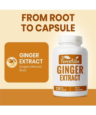 ForestVibe Ginger Root Capsules 1000mg Potent Ginger Extract Powder 120 Vegan Capsules 2 Month Supply Non-GMO and Gluten Free Ginger Supplement - Buy Online on GoSupps.com
