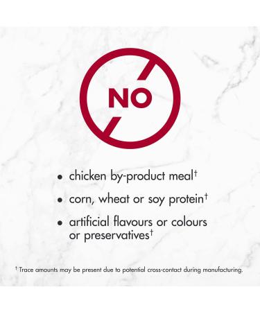 NUTRO SO SIMPLE Dog Food Dry Adult Beef 9.98kg Bag 9.98 kg (Pack of 1) - Buy Online on GoSupps.com