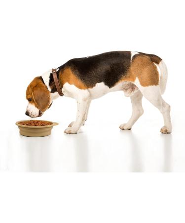 Slson 2-Piece Foldable Portable Silicone Dog & Cat Travel Bowl Set - Eco-Friendly 600ml for Hiking & Camping (Light Green & Khaki) - Buy Online on GoSupps.com