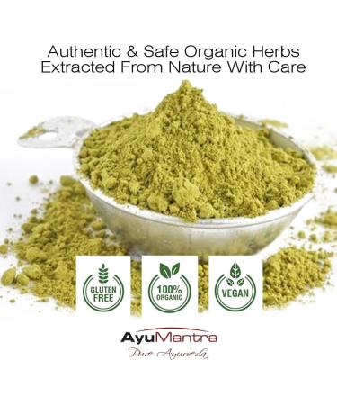 Ayumantra Organic Gurmar (Gymnema Sylvestre) Powder- 114 gms / 4 oz - Buy Online on GoSupps.com