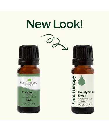 Plant Therapy Eucalyptus Dives Essential Oil 10 mL (1/3 oz) 100% Pure Undiluted Stimulating Aromatherapy Oil for Diffusing Clearing & Refreshing - Buy Online on GoSupps.com