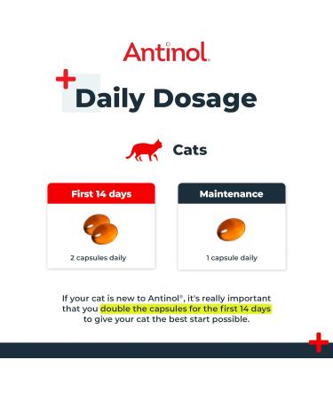 Antinol - Natural Joint Supplement for Adult Cats - Supports Joint Mobility & Skin Health - With Green Lipped Mussels Omega 3 & Vit E - 90 Capsules - Buy Online on GoSupps.com