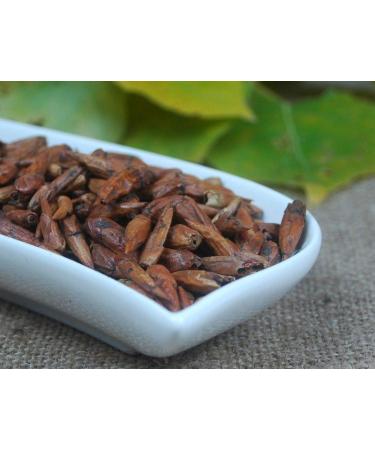 Krauterino24 Krauterino24 - Quantity: 250g