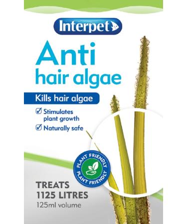 Interpet Anti Hair Algae Aquarium Water Treatment 125ml - Buy Online on GoSupps.com