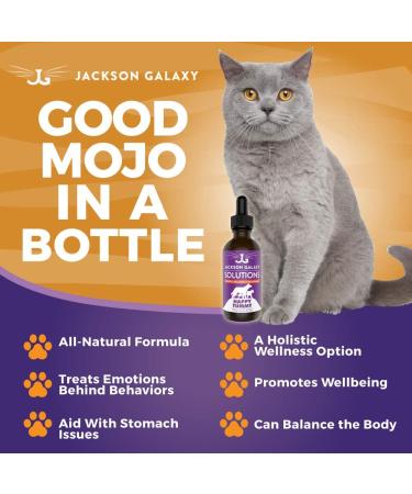 Jackson Galaxy Happy Tummy Pet Solution - Stress Relief & Toxin Cleanse - Aid for Stomach Issues - All-Natural & Reiki Infused (2 oz.) - Buy Online on GoSupps.com