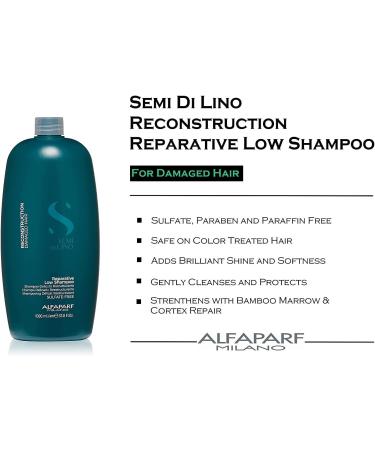 Alfaparf Hair and Scalp Care (Repair) 1000ml - Professional Hair Care Solution - Buy Online on GoSupps.com