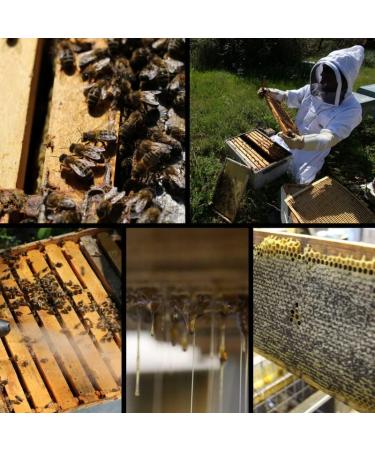 Real Premium Raw Moroccan Thyme Honey -300g 100% Pure - Collected In Morocco - Of The Finest Quality A Wide Variety Of Delicious Flavors. - Buy Online on GoSupps.com