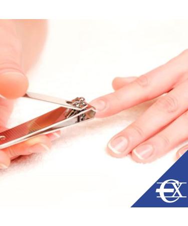 EUROXANTY Precision Nail Clippers | Mushroom Nail Cutting | Hand & Toenail Clippers | Manicure Nail Clippers | Hand Nail Clippers | Straight Nail Clippers | Silver - Buy Online on GoSupps.com