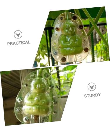 Kisangel 5pcs Vegetable Mold Ginseng Melon Shaping Multi-Function Fruit Mold Gourd Shaper - Buy Online on GoSupps.com