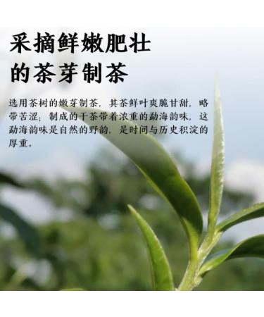 357g Yunnan Premium Pu - Th Cru Erh Pu Comm moratif Du Zodiaque Chinois - G teau Au Th Erh - Choix De Qualit  - Buy Online on GoSupps.com