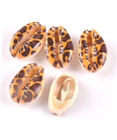 40 Pcs Summer Earrings Colorful Jewelry Bracelet Beads DIY Shell Earring Pendant Charm Spiral Miss 1.9x1.6x1cm Colorful - Buy Online on GoSupps.com