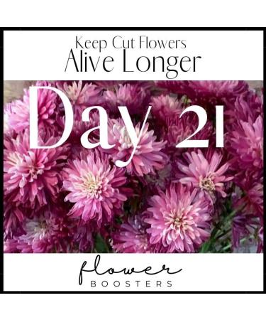 Flower Boosters Cut Flower Food for Fresher Vase Life Up to 20 Days or More (12.5 Ounces) - Buy Online on GoSupps.com
