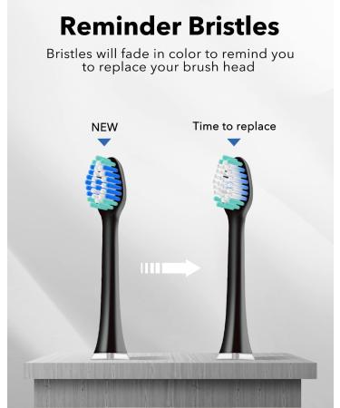 MySmile Electric Toothbrush for Adults - Rechargeable Sonic Toothbrush with 6 Brush Heads & Travel Case - 5 Modes Timer - 48000VPM - Black - Buy Online on GoSupps.com