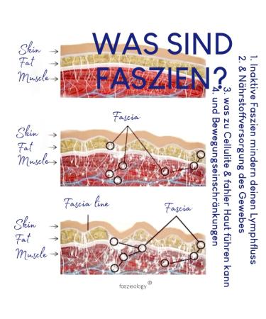 Fascia Comb for Pain Relief & Muscle Recovery - Shop Internationally - Buy Online on GoSupps.com