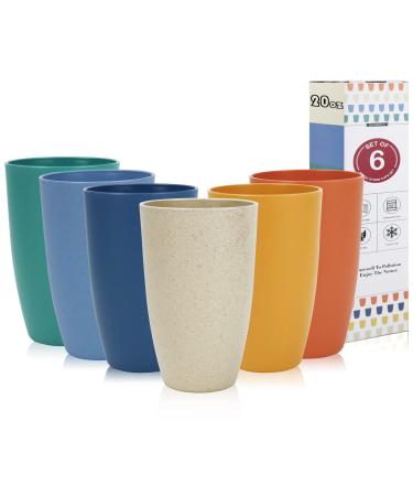 Homienly Wheat Straw Cups 6 PCS Plastic Cups 20 oz Unbreakable Drinking Cup Reusable Dishwasher Safe Water Glasses with 6 Colors