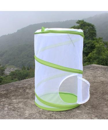 Insect Habitat Cage Insect Caterpillar House Net Insect Terrarium Mesh Cage with Zipper Protection L insect habitat cage - Buy Online on GoSupps.com