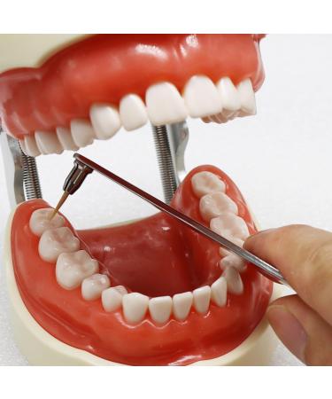 piklip Toothpick Dental Pick - Effective Teeth Cleaning & Gum Health Tool | 500 Periodontist-Recommended Toothpicks for Optimal Oral Care - Buy Online on GoSupps.com