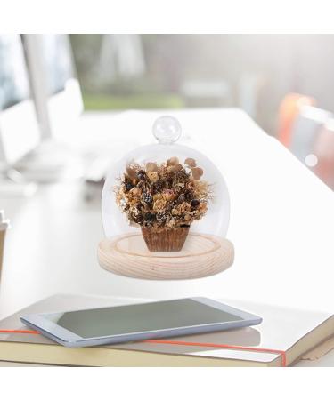 NOLITOY 1 Set Glass Cover High Borosilicate Glass Arch Dust Cover Round 12cm - Buy Online on GoSupps.com