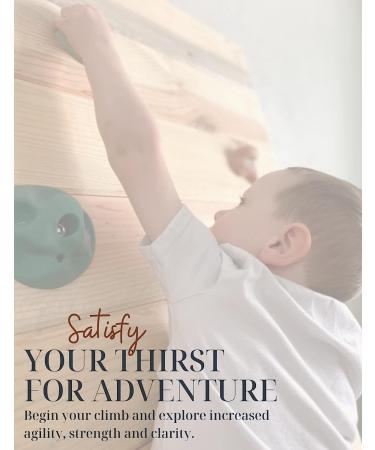 Premium Rock Climbing Holds for Kids by Everett & Avery Co. - Indoor Wall for Children - Easy Installation Indoor Climbing Wall - Buy Online on GoSupps.com