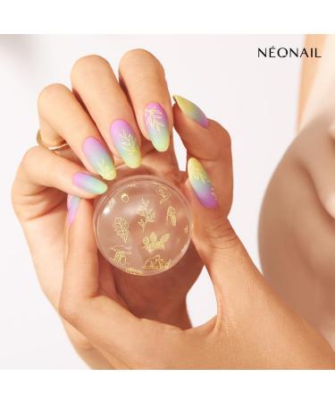 Neonail Stamping Plate 24 | Premium Nail Art Stencils for Stunning Designs | International Shipping Available - Buy Online on GoSupps.com