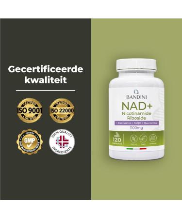 Bandini NAD+ liposomaal 120 capsules NAD supplement nicotinamide riboside chloride + Quercetine Resveratrol Coenzym Q10 Antiaging Energiemetabolisme 1100mg per portie 100 Vegan NonGMO - Buy Online on GoSupps.com