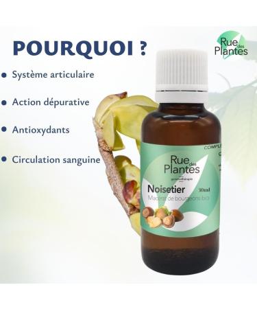 Organic Hazel Gemmotherapy 30ml - Pure Bud Extract for Digestive and Joint Wellness - Buy Online on GoSupps.com