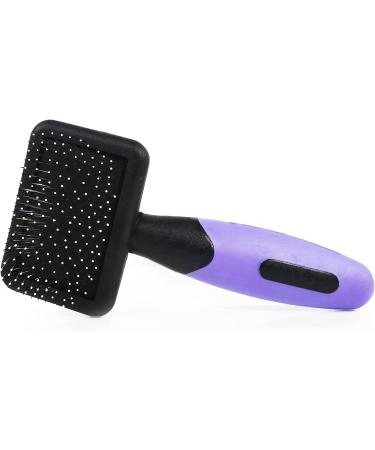 Options Mini Grooming Set - Essential Tools for Grooming Needs - Buy Online on GoSupps.com