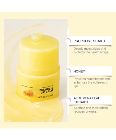  Beslibate Moisturizing Lip Balm Bee Lip Butter Bee Lip Balm 12 Hours Long Lasting Hydration Moisturizing Dried Lips for Daily Use 15g Lipmask-3 - Buy Online on GoSupps.com