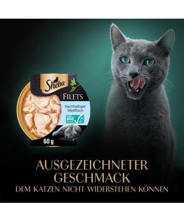 Sheba Fillets - Premium Wet Cat Food with Sustainable White Fish - 16 x 60g (16 Pack) - Shop Internationally - Buy Online on GoSupps.com