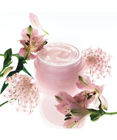 Huxley Secret of Sahara Skin Glow Cream Vita Radiance 3% Niacinamide Face Moisturizer Korean Skin Care Gel Cream for Dewy Glow Glass Skin Finish | 50ml /1.69 fl. oz. - Buy Online on GoSupps.com