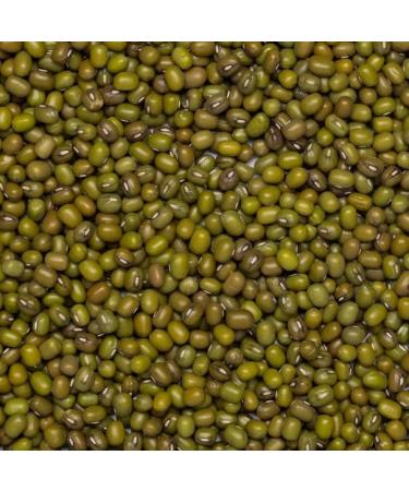 Organic Mung Beans 3kg - GMO Free, Vegan, High Fiber & Protein | Certified Organic by Wholefood Earth - Buy Online on GoSupps.com
