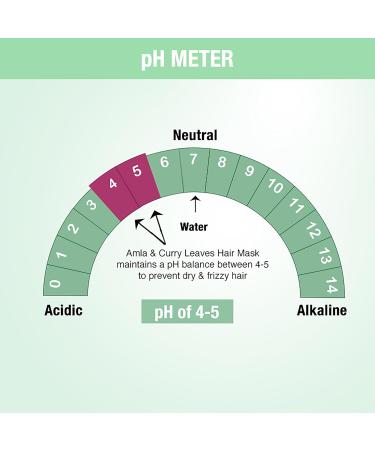 Nykaa Naturals Amla & Curry Leaves Hair Mask - 6.76 oz | Promotes Hair Growth & Nourishes Thin Hair | Safe for Colored Hair - Buy Online on GoSupps.com