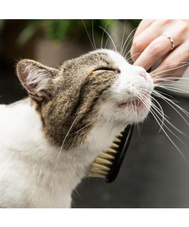 Lucybalu Cat Brush for Short & Long Hair | Vegan Animal Hair Grooming | Agave Fiber Bristles & Wooden Handle | Perfect Felting & Combing Tool for Cats - Buy Online on GoSupps.com