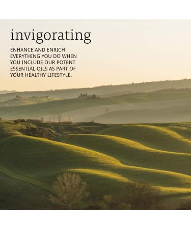 Now Foods Oregano Essential Oil 1 fl oz | Pure, Natural, Therapeutic Grade - Buy Online on GoSupps.com