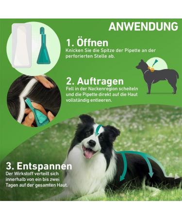 Buy Frontline Combo Spot On for Dogs - Effective Flea & Tick Treatment | Fast International Shipping - Buy Online on GoSupps.com