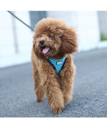 Suredoo Reflective Dog Harness & Leash Set for Small Dogs Cats & Puppies | Anti-Train Design - Blue Wave (Large) - Buy Online on GoSupps.com