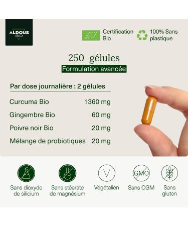 250 Probiotic Capsules + Organic Turmeric with Ginger and Black Pepper | 1460mg | Turmeric Based on Curcumin and Piperine | Natural Anti-Inflammatory | Advanced Formula | Certified Organic - Buy Online on GoSupps.com