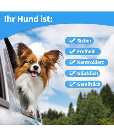 Buy Mi Metty Strap Off Dog Car Leash - Bite-Resistant Steel Wire 32 Inch Red & Blue - Ideal for All Dogs International Shipping Available - Buy Online on GoSupps.com