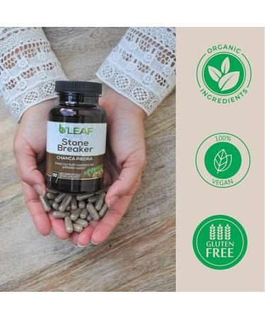 Chanca Piedra Extract 1000mg - Urinary Tract & Gallbladder Support - 100 Veg Caps - Buy Online on GoSupps.com