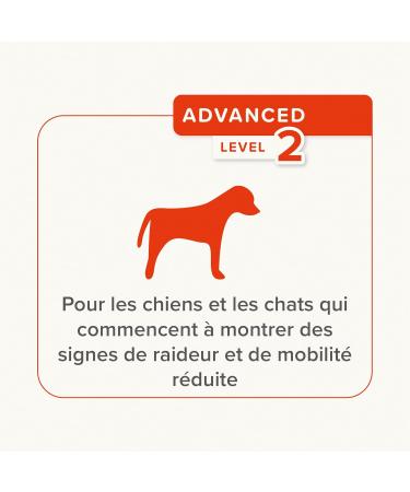 BEAPHAR Flexifit Joint Paste for Dogs and Cats Contains vitamins collagen glucosamine calcium and essential fatty acids for animals suffering from stiffness Level 2 250g - Buy Online on GoSupps.com