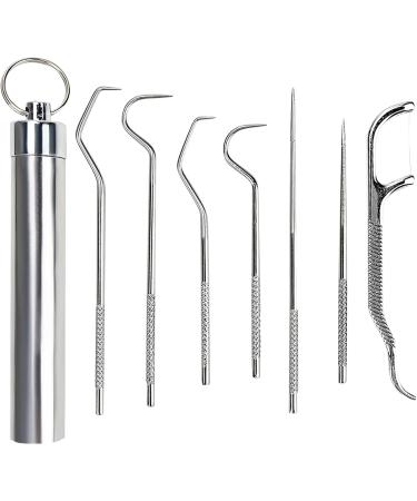 Stainless Steel Toothpicks Set - 7pcs Portable Dental Picks for Home & Travel - Buy Online on GoSupps.com